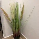 Apartman Blue Moon Split