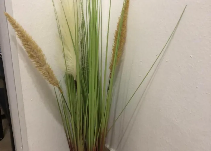 Apartament Blue Moon Split