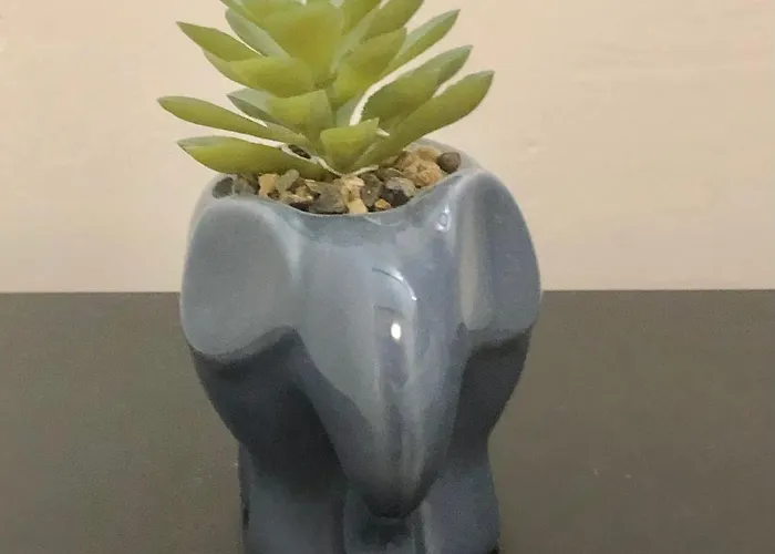 Apartament Blue Moon