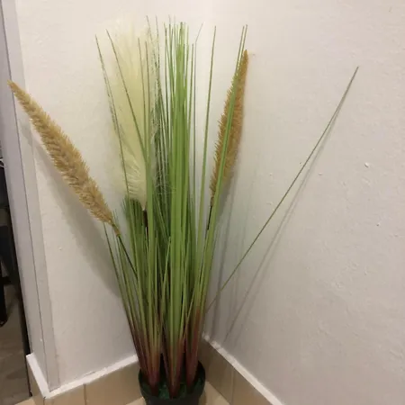 Apartamento Blue Moon Split